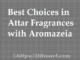 10 Best Aromazeia Attars for The Best Price Today