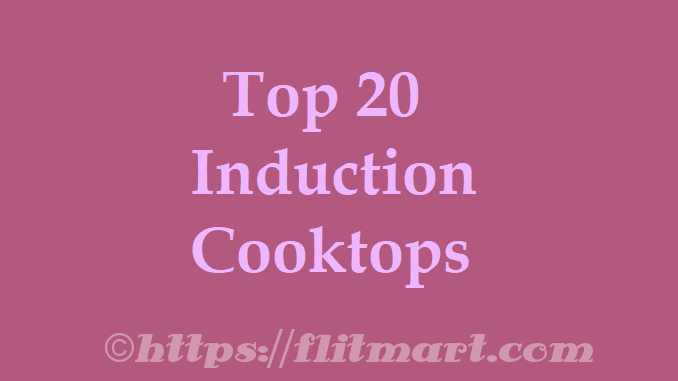 Top 20 Best Induction Cooktops In India A Must Read Guide On