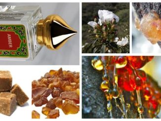 Nemat Amber Oil is Best Amber Fragrance