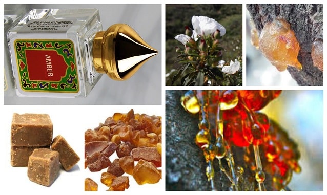 nemat amber oil ingredients